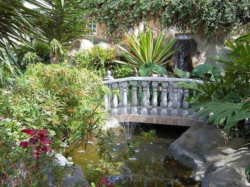 Hotel Don Manolito Puerto de la Cruz  Dış mekan fotoğraf
