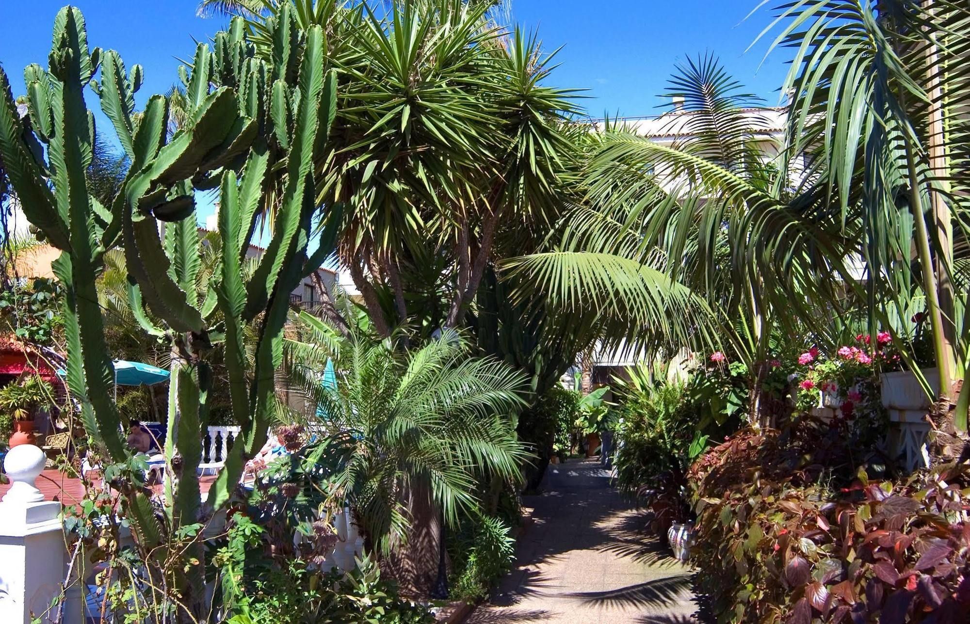 Hotel Don Manolito Puerto de la Cruz  Dış mekan fotoğraf